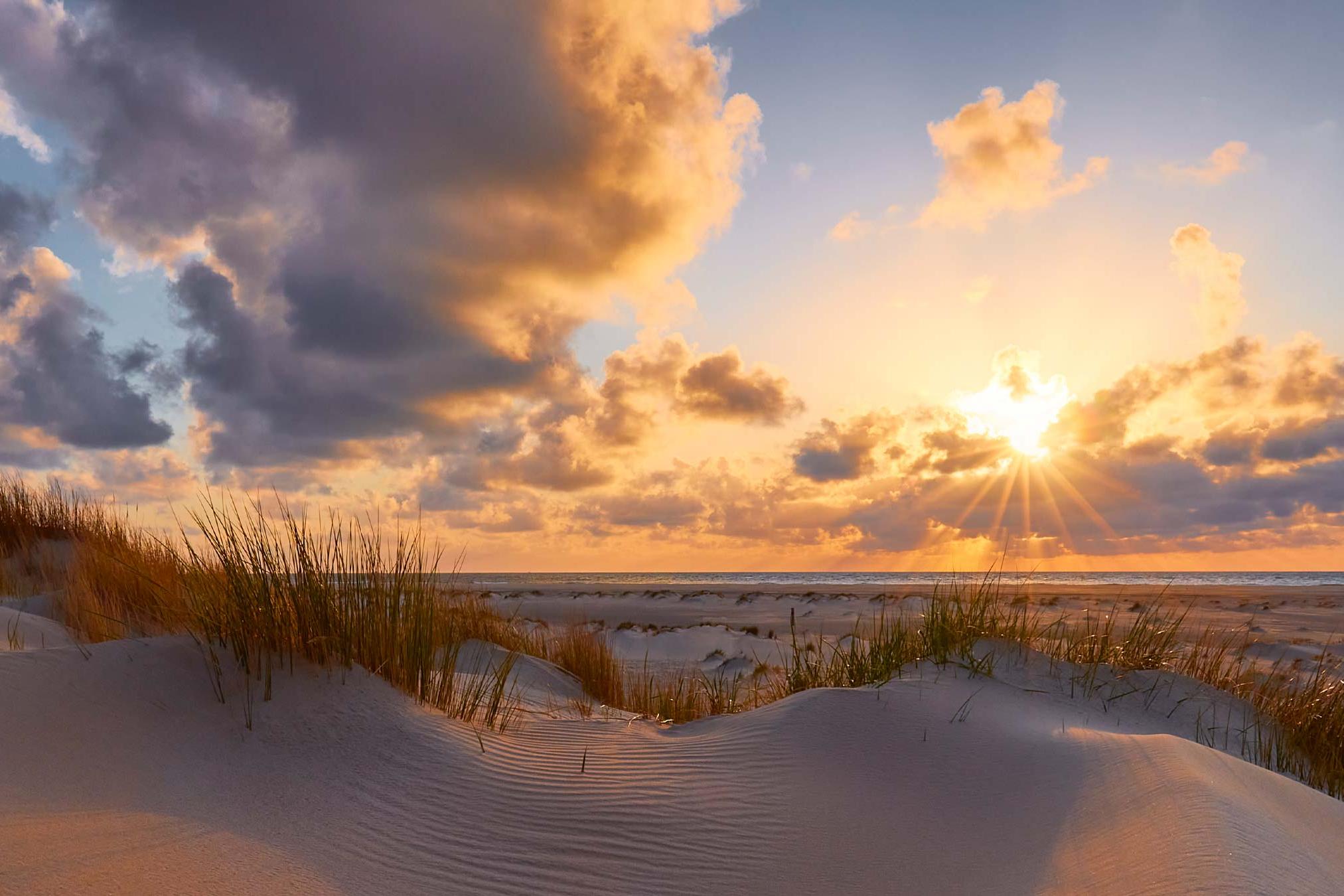 Local Activities in Mexico Beach